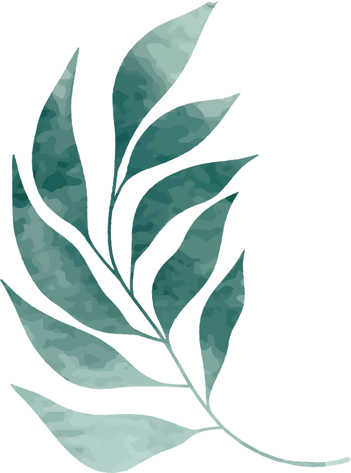 Watercolor Leaves Illustration
